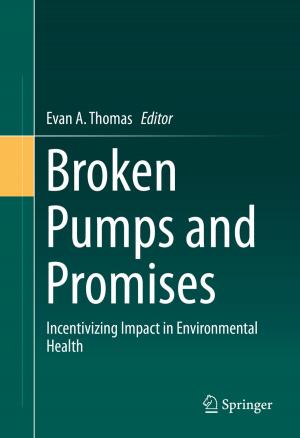 Cover of the book Broken Pumps and Promises by Lavinia Corina Ciungu