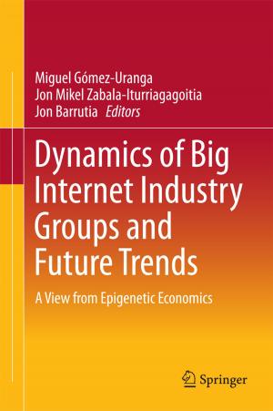 Cover of the book Dynamics of Big Internet Industry Groups and Future Trends by Asher Flynn, Arie Freiberg