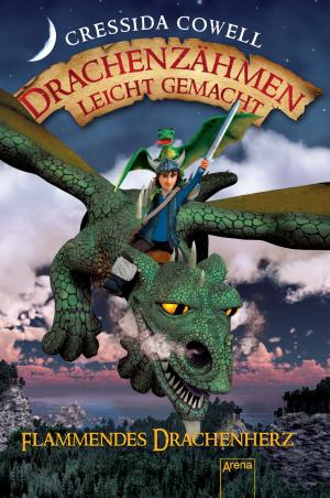 Cover of the book Drachenzähmen leicht gemacht (8). Flammendes Drachenherz by Andreas Eschbach