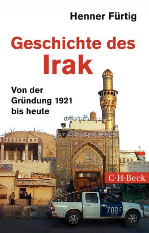 Cover of the book Geschichte des Irak by Enrik Lauer, Regine Müller