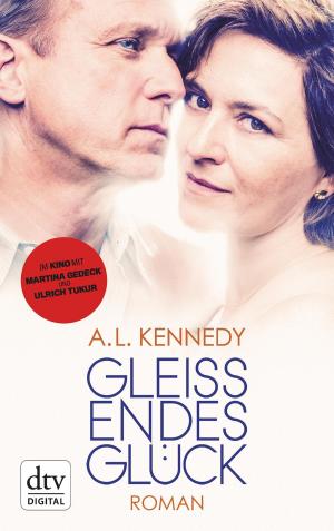 Cover of the book Gleißendes Glück by Kevin Brooks
