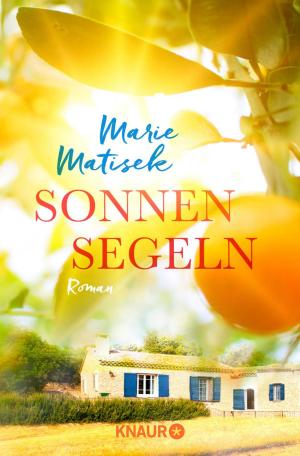 Cover of the book Sonnensegeln by John Katzenbach