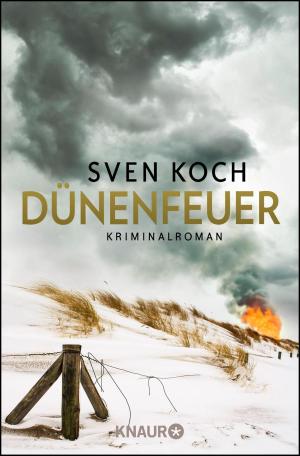 Cover of the book Dünenfeuer by Cate Noble, E. C. Sheedy, Shannon McKenna