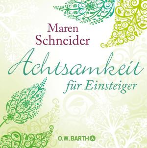 Cover of the book Achtsamkeit für Einsteiger by Brenda Shoshanna