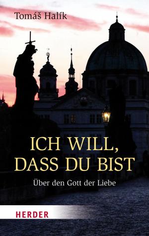 Cover of the book Ich will, dass du bist by Christian Feldmann