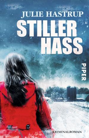 Cover of the book Stiller Hass by Jonuel Negron