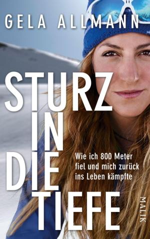Cover of the book Sturz in die Tiefe by Nicolas Barreau