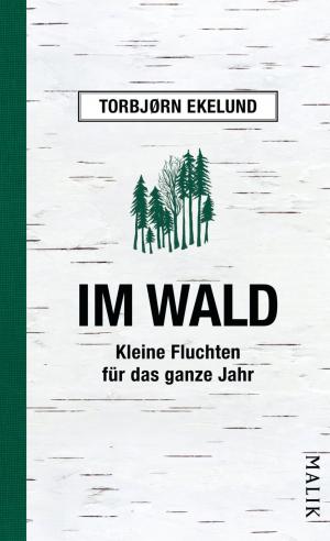 Cover of the book Im Wald by Tommy Baggins