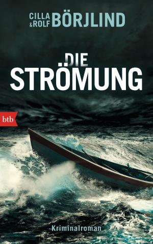 Cover of the book Die Strömung by Håkan Nesser