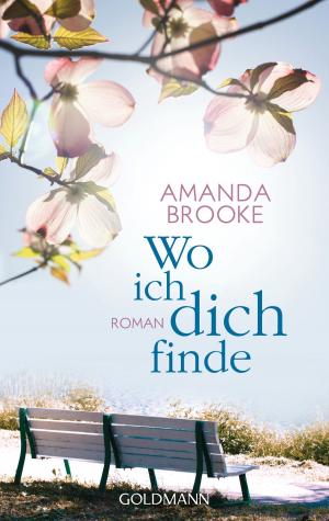 Cover of the book Wo ich dich finde by Dirk-Christian Stötzer, Beate Stoffers