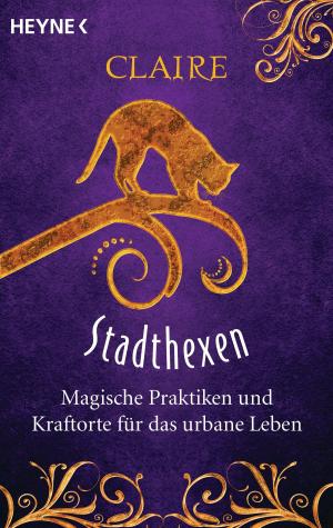 Cover of the book Stadthexen by Sabine Thiesler