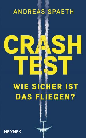 Cover of the book Crashtest by Mary Higgins Clark