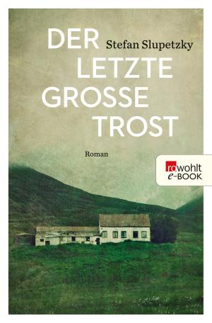 Cover of the book Der letzte große Trost by Benjamin Carter Hett
