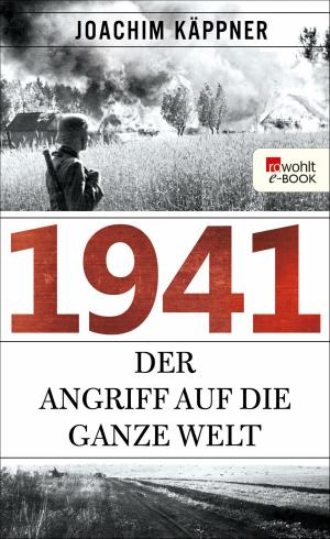 Cover of the book 1941 by Janne Mommsen
