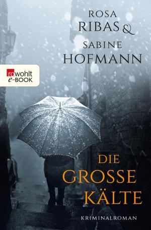Cover of the book Die große Kälte by Sandra Lüpkes