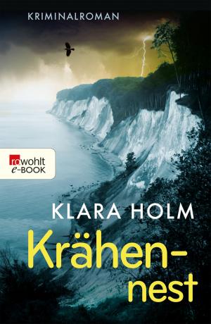 Cover of the book Krähennest by Eileen Schuh