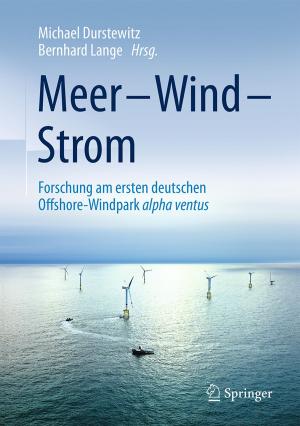 Cover of the book Meer – Wind – Strom by Jan Lies