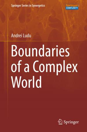 Book cover of Boundaries of a Complex World