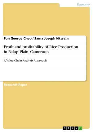 Cover of the book Profit and profitability of Rice Production in Ndop Plain, Cameroon by Stefan Wehe