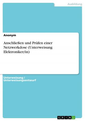 Cover of the book Anschließen und Prüfen einer Netzwerkdose (Unterweisung Elektroniker/in) by Friedgard Schütze