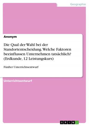 Cover of the book Die Qual der Wahl bei der Standortentscheidung. Welche Faktoren beeinflussen Unternehmen tatsächlich? (Erdkunde, 12 Leistungskurs) by Marco Aulbach