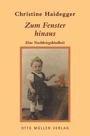 Cover of the book Zum Fenster hinaus by Hans Sedlmayr