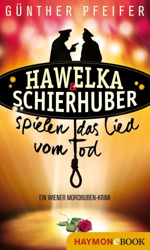 Cover of the book Hawelka & Schierhuber spielen das Lied vom Tod by Jürg Amann