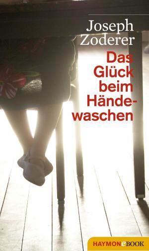 Book cover of Das Glück beim Händewaschen