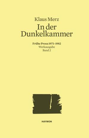 Cover of the book In der Dunkelkammer by Jürg Amann