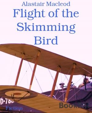 Book cover of Flight of the Skimming Bird