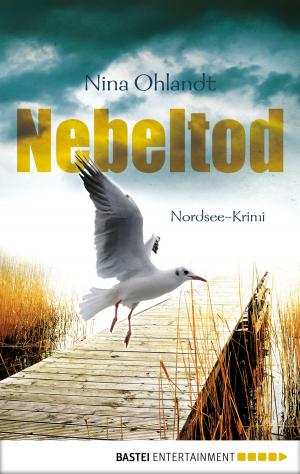 Book cover of Nebeltod