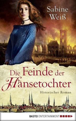 Cover of the book Die Feinde der Hansetochter by Jack Slade