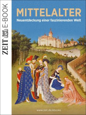 Book cover of Das Mittelalter – Neuentdeckung einer faszinierenden Welt