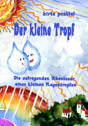 Cover of the book Der kleine Tropf by Joachim Stiller