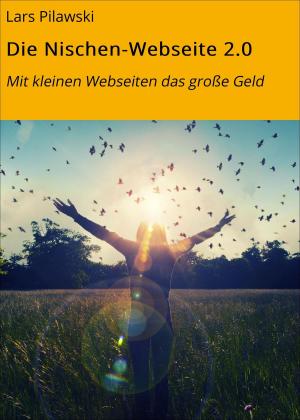 Cover of the book Die Nischen-Webseite 2.0 by Alfred Bekker, Abraham Merritt