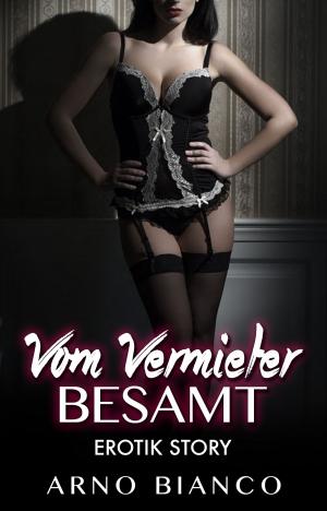 Cover of the book Vom Vermieter besamt by Romy Fischer