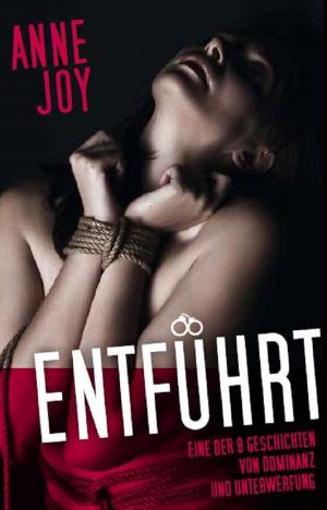 Cover of the book Entführt by Kit Love