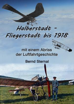 Cover of the book Halberstadt - Fliegerstadt bis 1918 by Alexander Glück