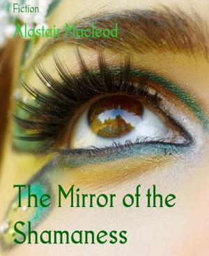 Cover of the book The Mirror of the Shamaness by Mattis Lundqvist
