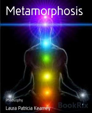 Cover of the book Metamorphosis by Heidi Jacobsen