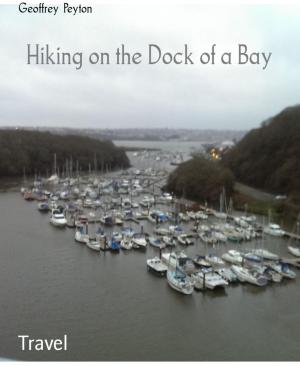 Cover of the book Hiking on the Dock of a Bay by Noah Daniels