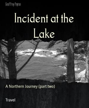 Book cover of Incident at the Lake