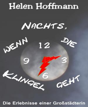 Cover of the book Nachts, wenn die Klingel geht by Adina Pion
