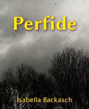 Cover of the book Perfide by Mattis Lundqvist