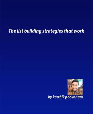 Cover of the book The list building strategies that work by Madame Missou
