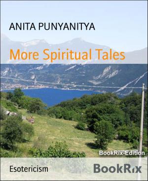 Cover of the book More Spiritual Tales by Rittik Chandra