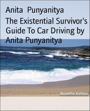 Cover of the book The Existential Survivor's Guide To Car Driving by Anita Punyanitya by Macy Rollings