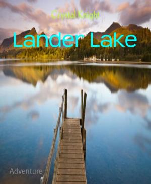 Cover of the book Lander Lake by Hentai Jones