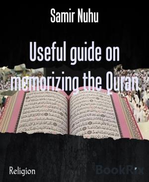 Book cover of Useful guide on memorizing the Quran