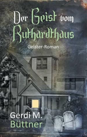 Cover of the book Der Geist vom Ruthardthaus by Agatha Müller